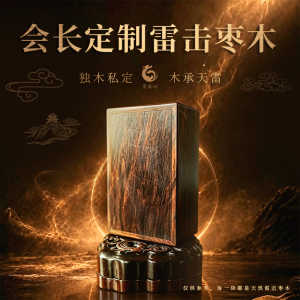 Custom Lightning-Struck Jujube Wood Pendant